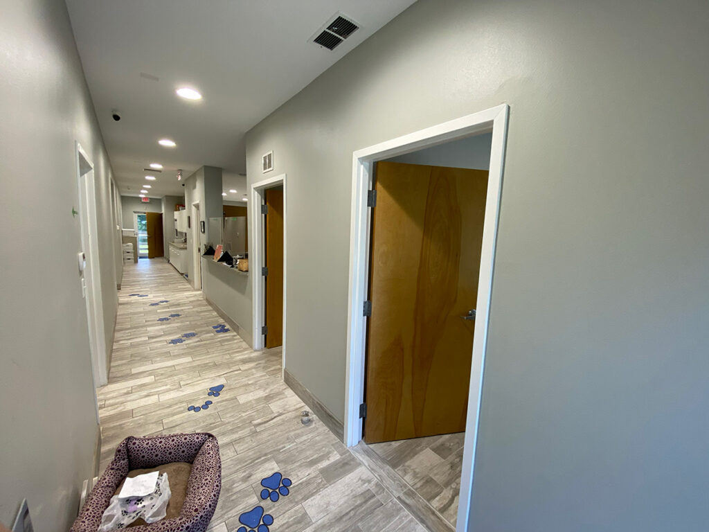 Picture of a finished veterinary clinic hallway